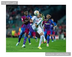 博彩政策的失败案例分析（博彩政策失效案例研究）