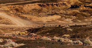 🏎️F1｜勒克莱尔与他的Daytona SP3